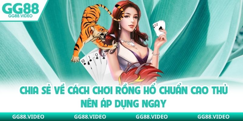 Chia sẻ về cách chơi rồng hổ chuẩn cao thủ nên áp dụng ngay