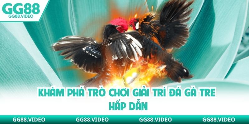 Khám phá trò chơi giải trí đá gà tre hấp dẫn